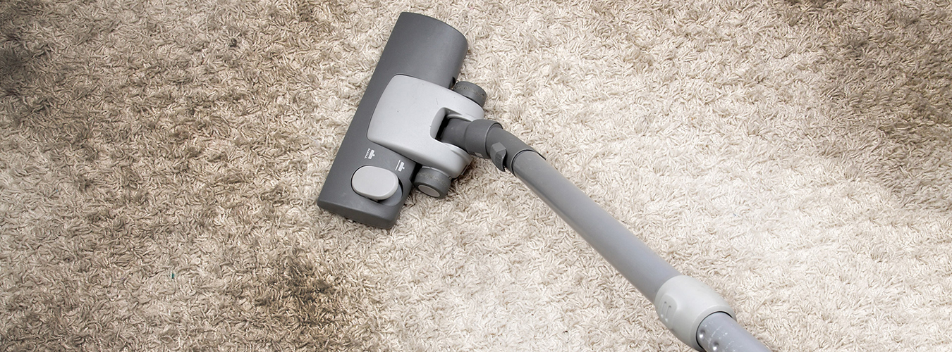 Powerwand Carpet and Cleaning Services