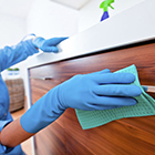 Domestic Cleaning Services