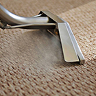 Carpet Cleaning